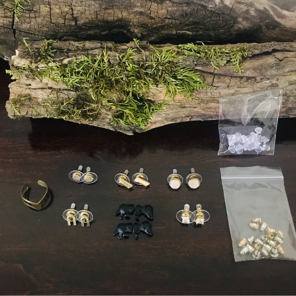 6 Pairs of Earrings, Chevron Ring, & Extra Earrings Backings